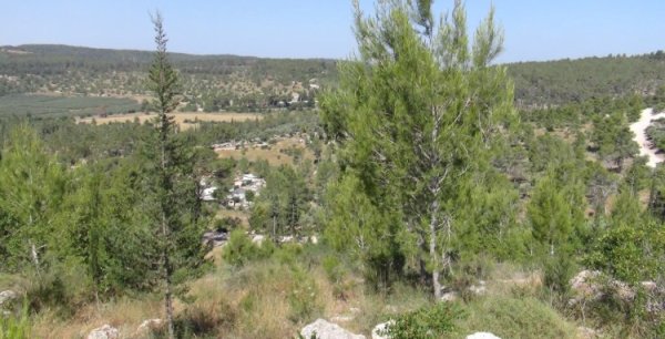  | موسوعة القرى الفلسطينية