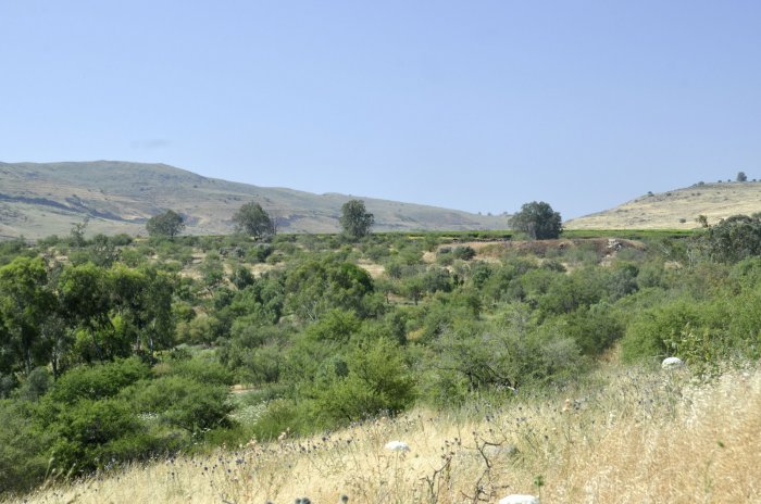 البُطَيْحَة  | موسوعة القرى الفلسطينية