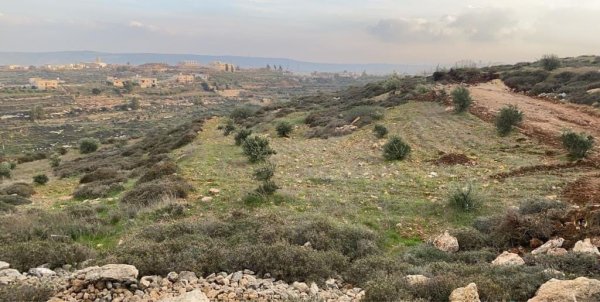  | موسوعة القرى الفلسطينية