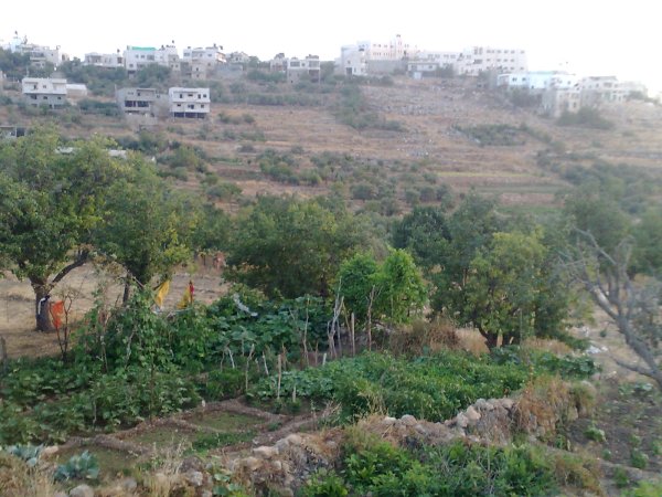  | موسوعة القرى الفلسطينية