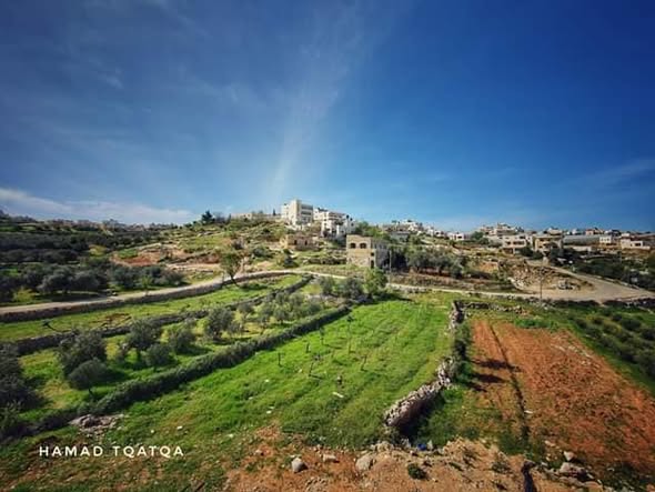 قرية مراح المعلا، بيت لحم، بعدسة حمد علي طقاطقة، موسوعة القرى الفلسطينية