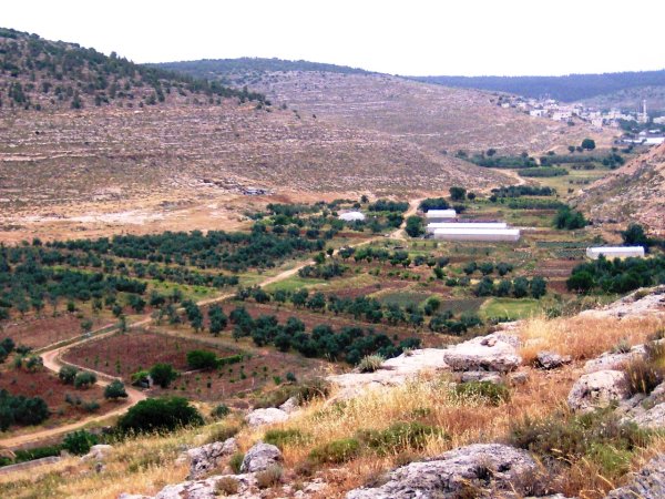 أراضي قرية وادي فوكين - بيت لحم، موسوعة القرى الفلسطينية