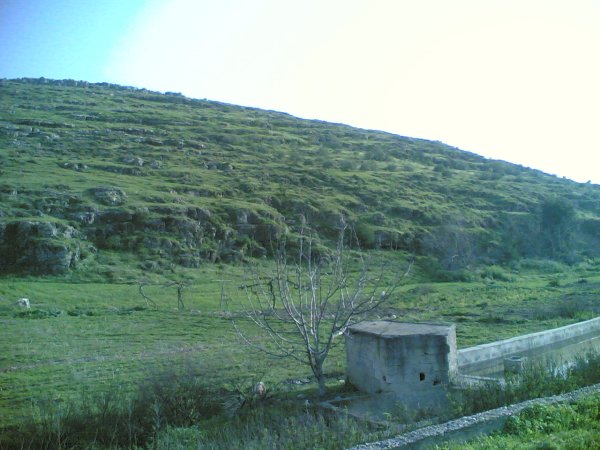 اراضي القرية