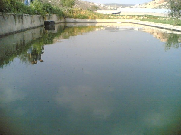 برك الماء في قرية وادي فوكين - بيت لحم، موسوعة القرى الفلسطينية