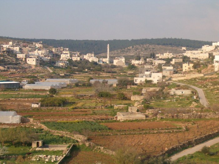 وادي فوكين / من قرى عرقوب  | موسوعة القرى الفلسطينية