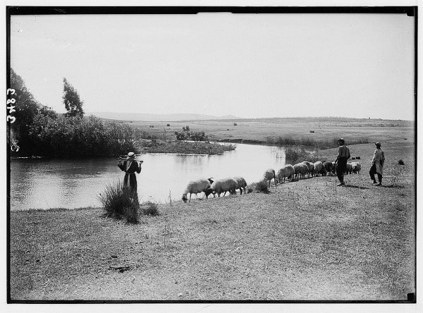  | موسوعة القرى الفلسطينية