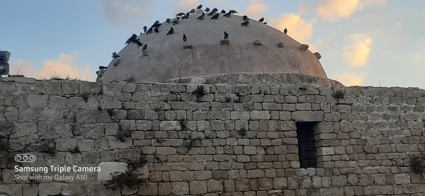 الحديقة الوطنية على أنقاض قرية الزيب المهجرة تصوير عوني العمري 21 -8-2022