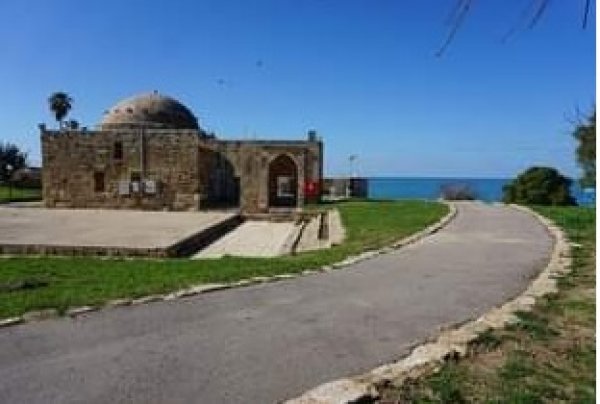 جامع قرية الزيب