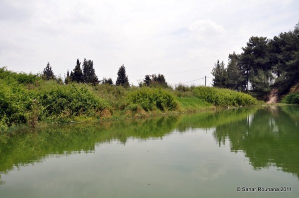  | موسوعة القرى الفلسطينية