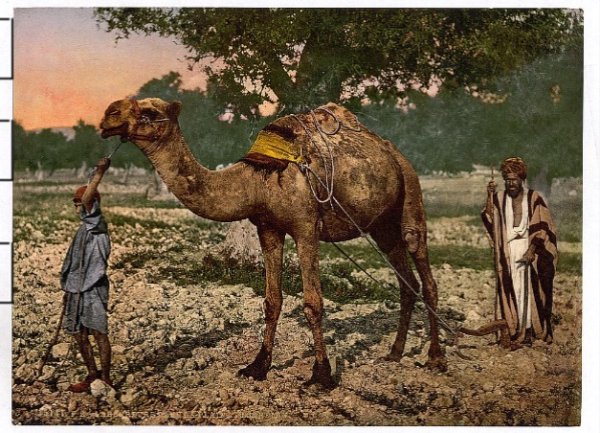  | موسوعة القرى الفلسطينية