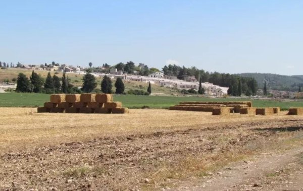 صور من موقع قرية عين المنسي المهجرة، نقلاً عن موقع فلسطين في الذاكرة