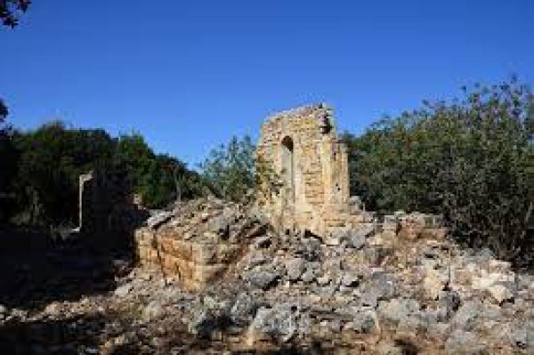 قرية المنصورة / عكا