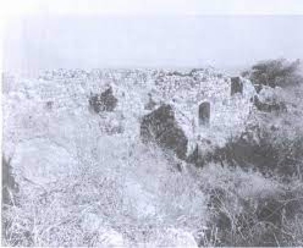 قرية المنصورة / عكا