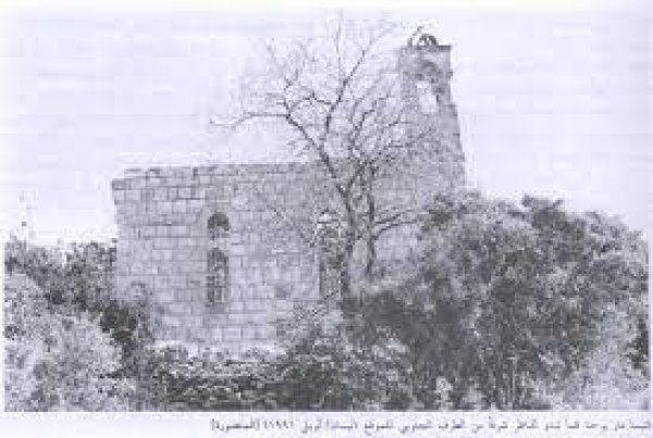 قرية المنصورة / عكا