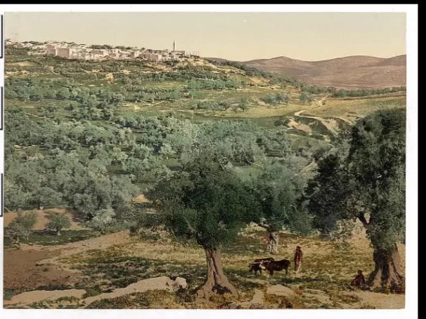 أراضي القرية