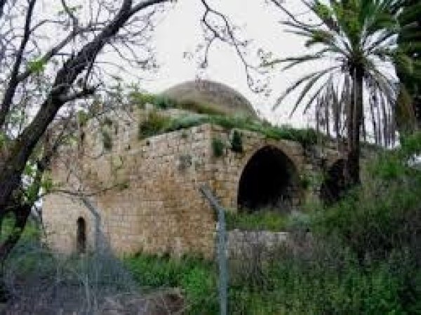  | موسوعة القرى الفلسطينية