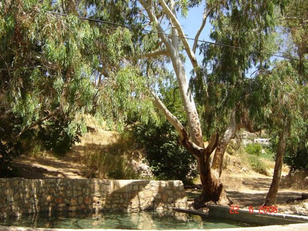  | موسوعة القرى الفلسطينية