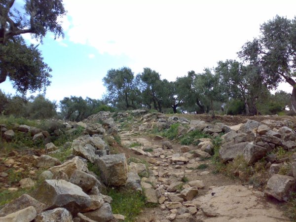  | موسوعة القرى الفلسطينية