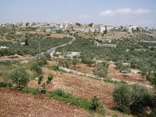  | موسوعة القرى الفلسطينية