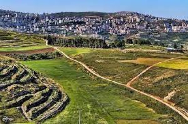 أراضي القرية