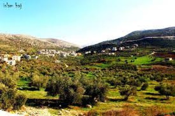 أراضي القرية