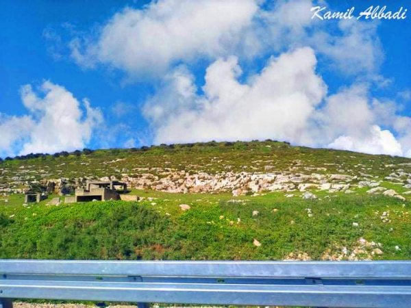 السهل الغربي