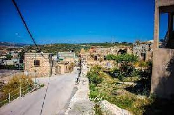 المنازل القديمة في القرية