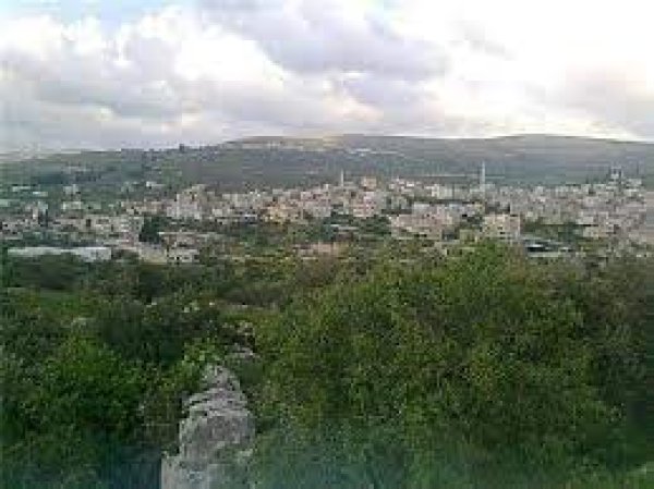 قرية دير شرف / نابلس