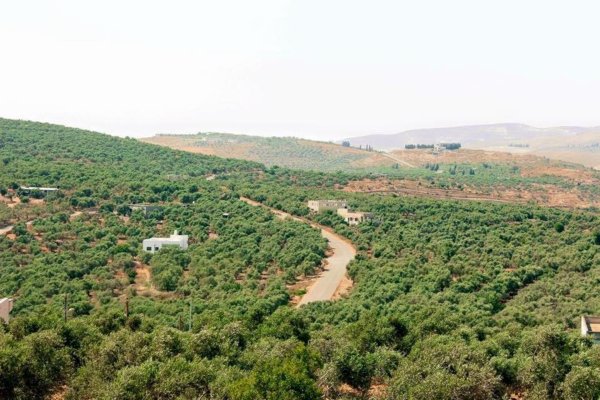  | موسوعة القرى الفلسطينية