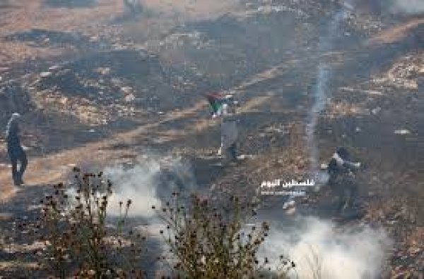 موجهات مع الاحتلال في القرية