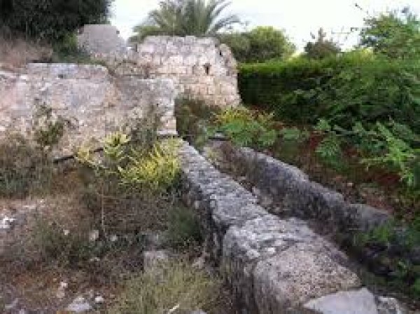  | موسوعة القرى الفلسطينية