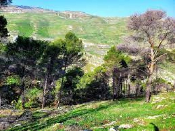 أراضي القرية