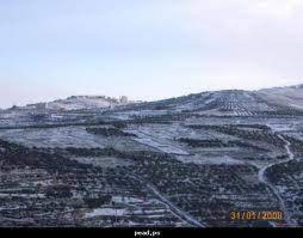 أراضي القرية