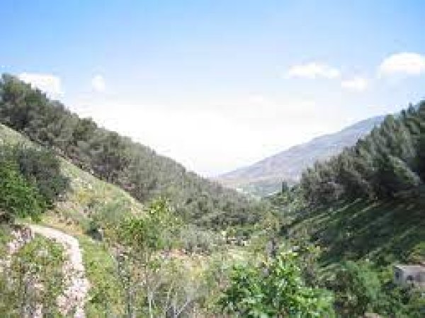 أراضي القرية