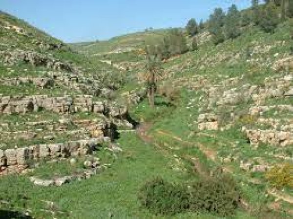 أراضي القرية