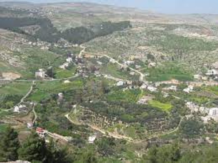 الباذان  | موسوعة القرى الفلسطينية