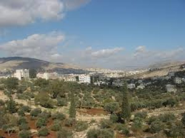 أراضي القرية