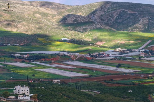 قريه روجيب / نابلس/ بعدسة صلاح جبور