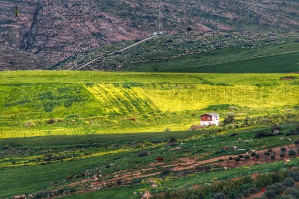 قريه روجيب / نابلس/ بعدسة صلاح جبور