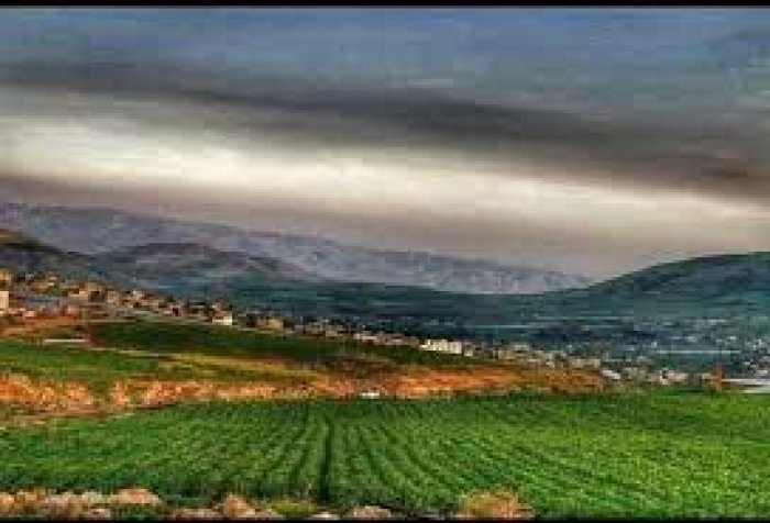 النصارية  | موسوعة القرى الفلسطينية