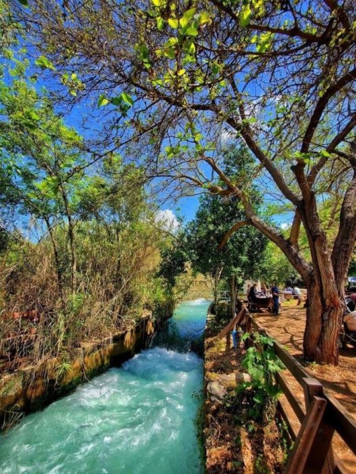 دِفّنَة/ دِفّنَه  | موسوعة القرى الفلسطينية