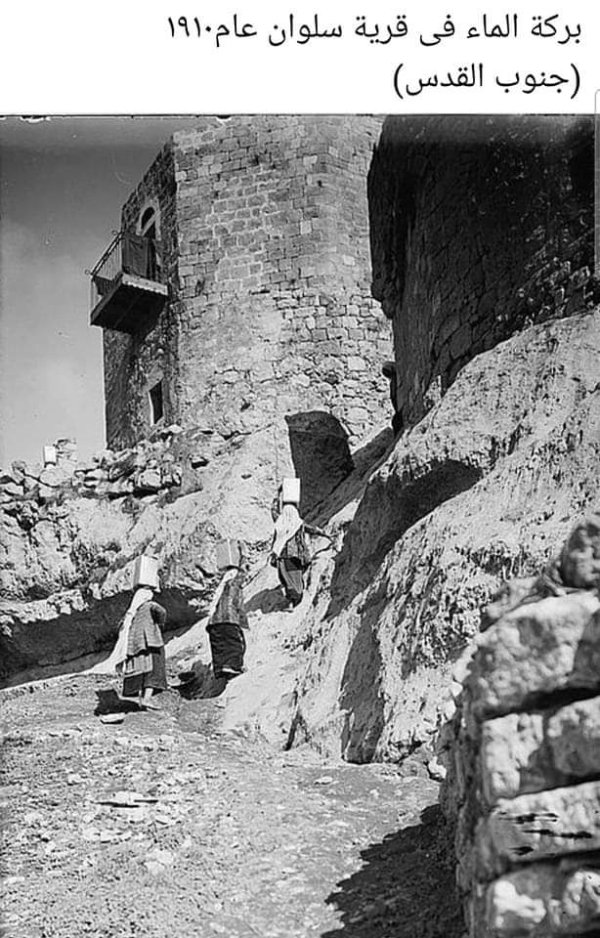  | موسوعة القرى الفلسطينية