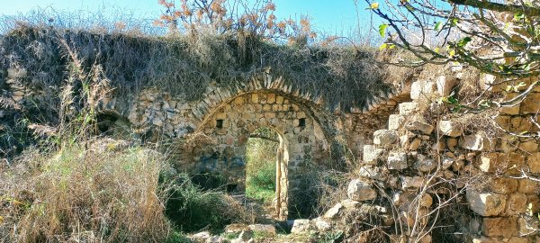  | موسوعة القرى الفلسطينية