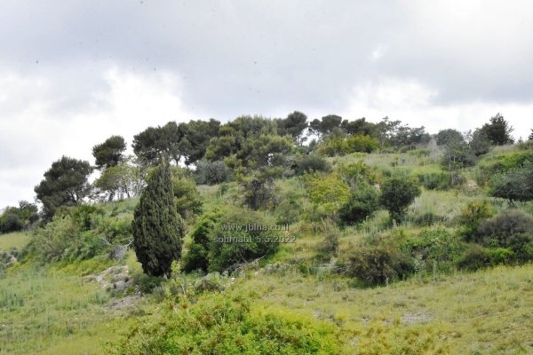  | موسوعة القرى الفلسطينية