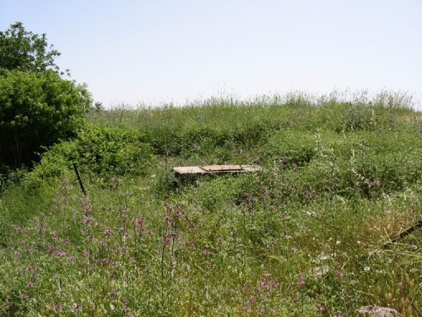  | موسوعة القرى الفلسطينية