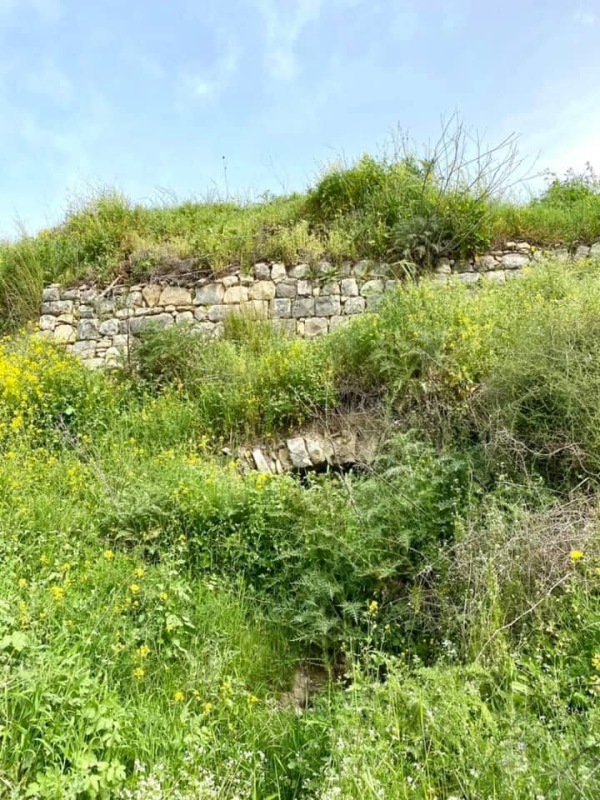  | موسوعة القرى الفلسطينية