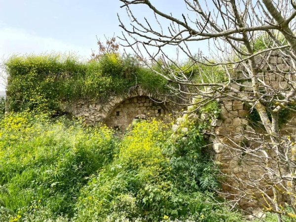  | موسوعة القرى الفلسطينية