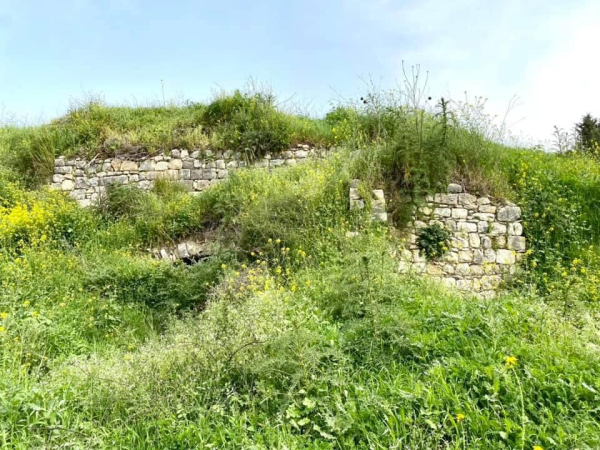  | موسوعة القرى الفلسطينية