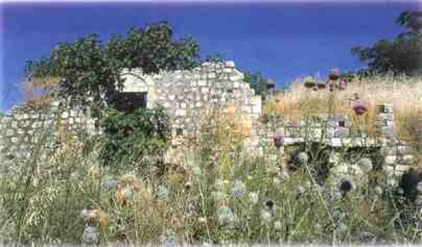  | موسوعة القرى الفلسطينية