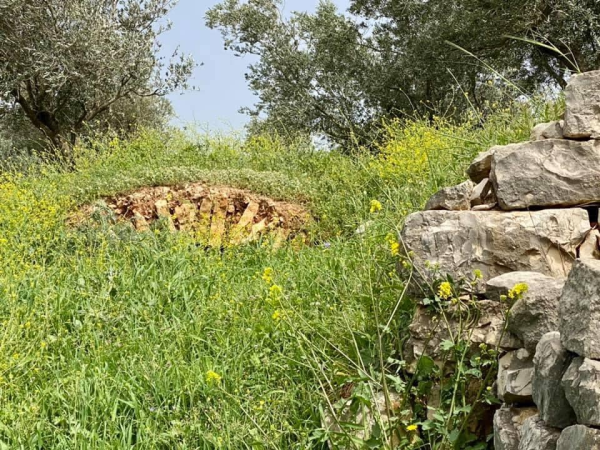  | موسوعة القرى الفلسطينية